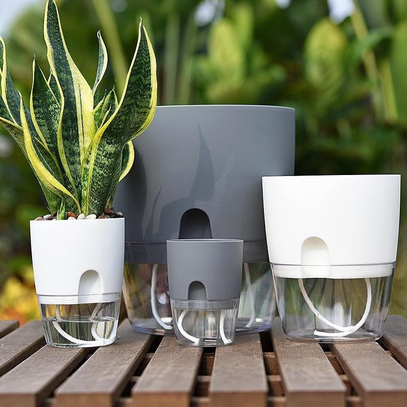Transparante Dubbellaagse Plas - Self-Watering Planter recensie en prijs